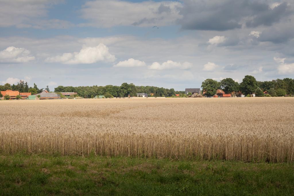 Heideland Winsen Aller Ferienhaus *